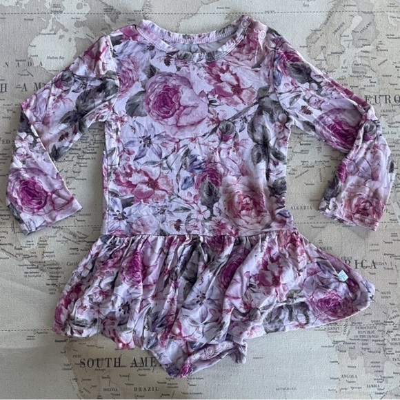 Posh Peanut Other - Posh Peanut 12-18Mo Long Sleeve Twirl Skirt Floral